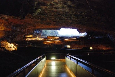Visitar las cuevas de Altamira