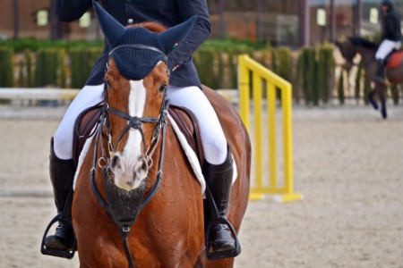 Botas de montar a caballo