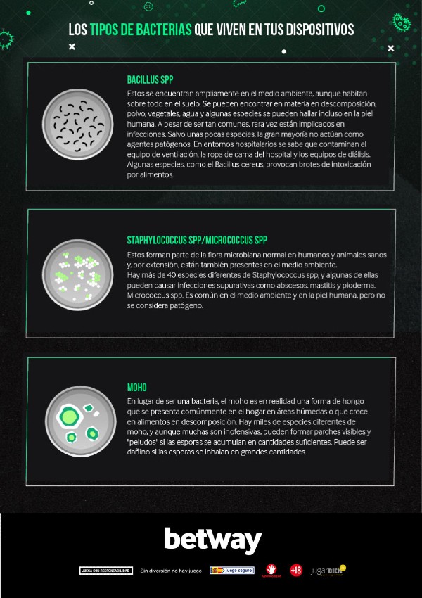 Tipos de bacterias