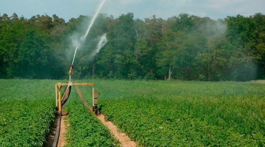 Portal inmobiliario para comprar o vender fincas agrícolas