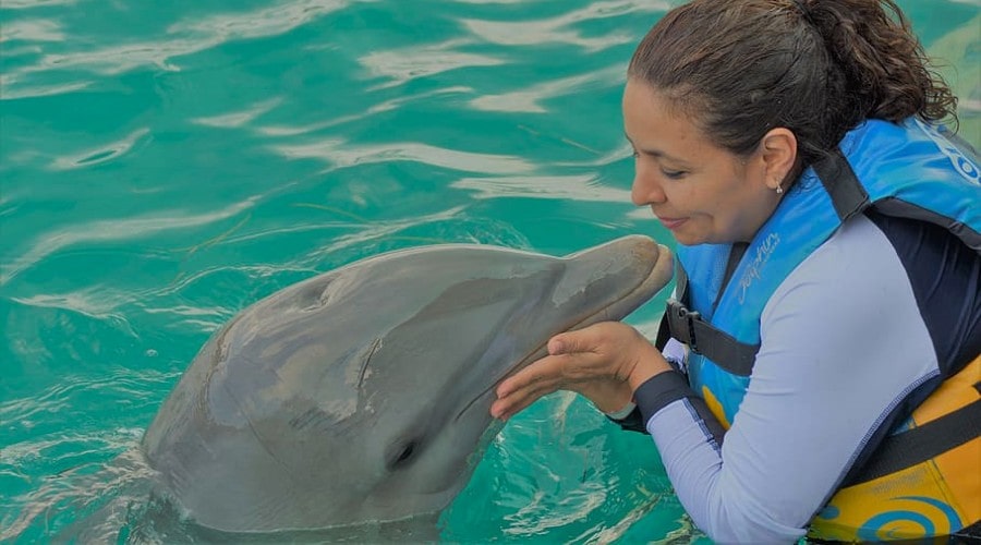 Nadar con delfines en Cancún