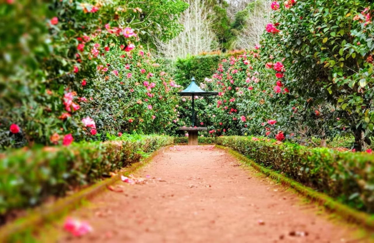 Jardín